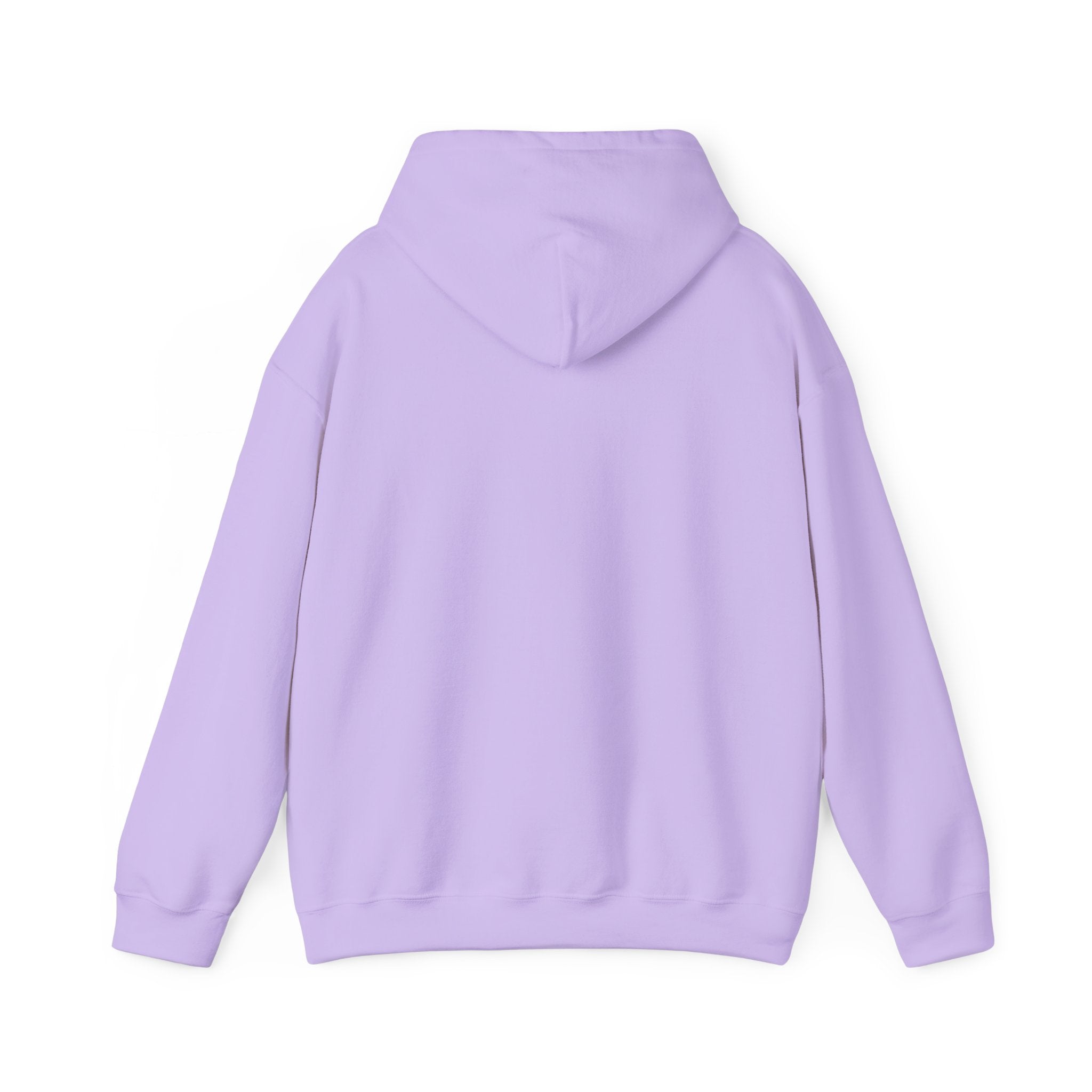 No HATE United States hoodie for protesters and protesting