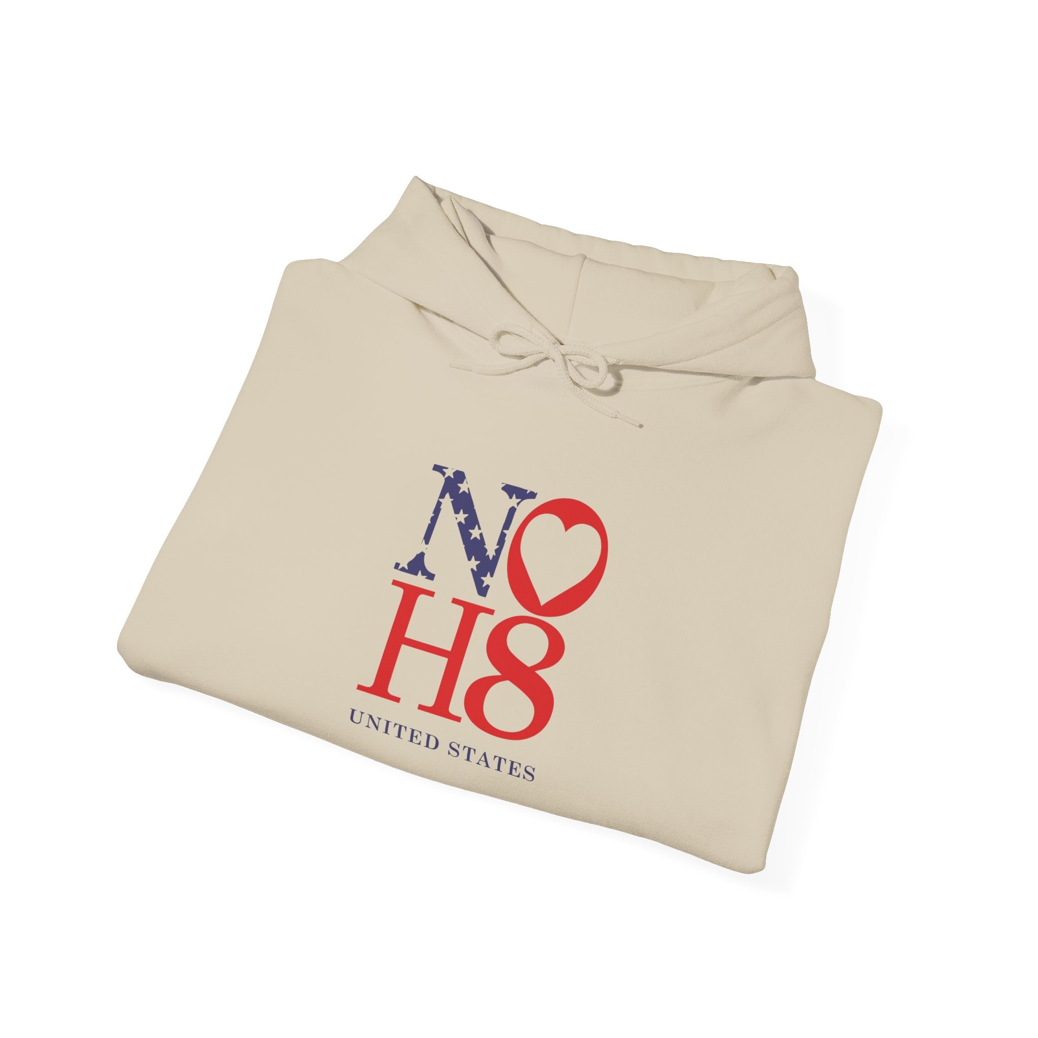 No HATE United States hoodie for protesters and protesting