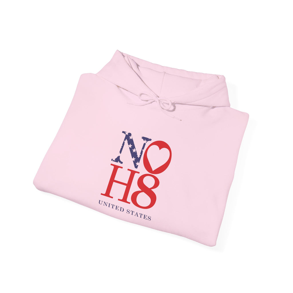 No HATE United States hoodie for protesters and protesting