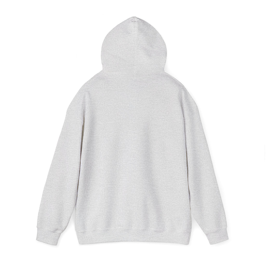 No HATE United States hoodie for protesters and protesting
