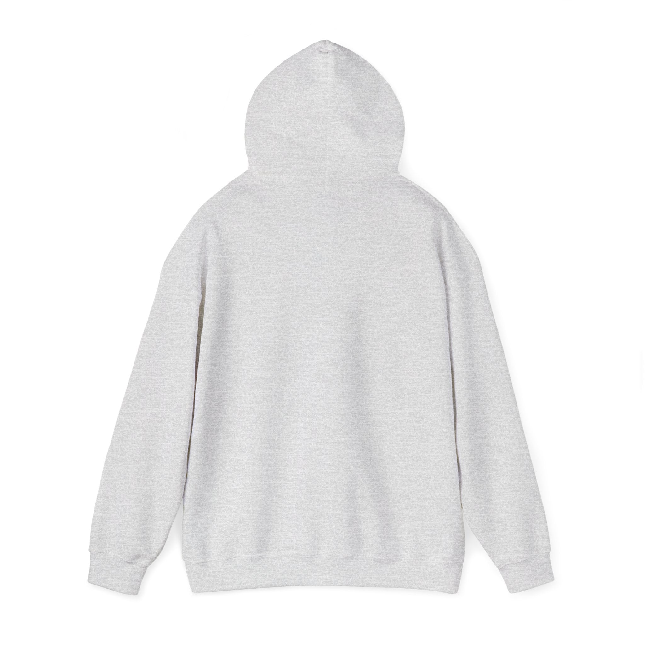 No HATE United States hoodie for protesters and protesting