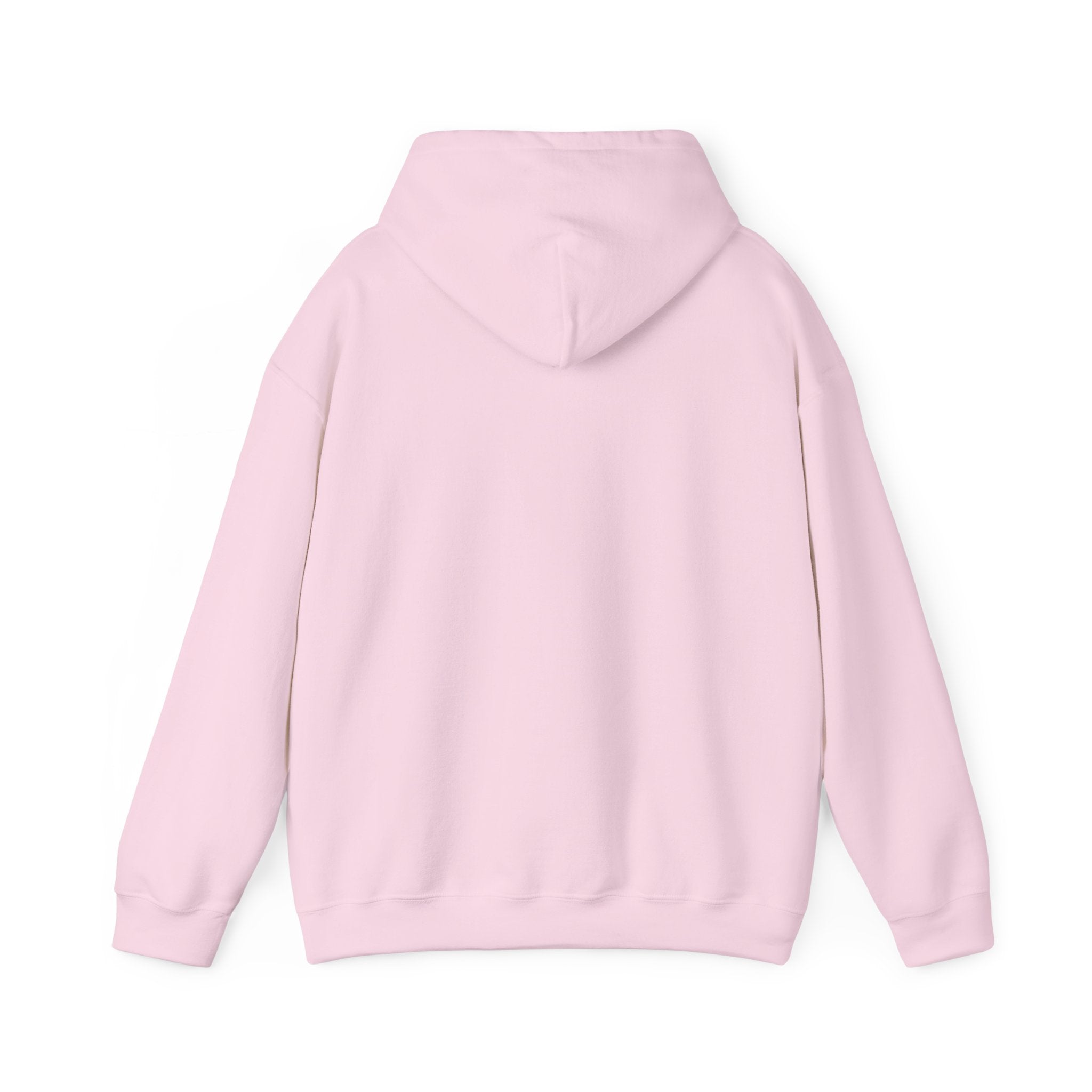 No HATE United States hoodie for protesters and protesting