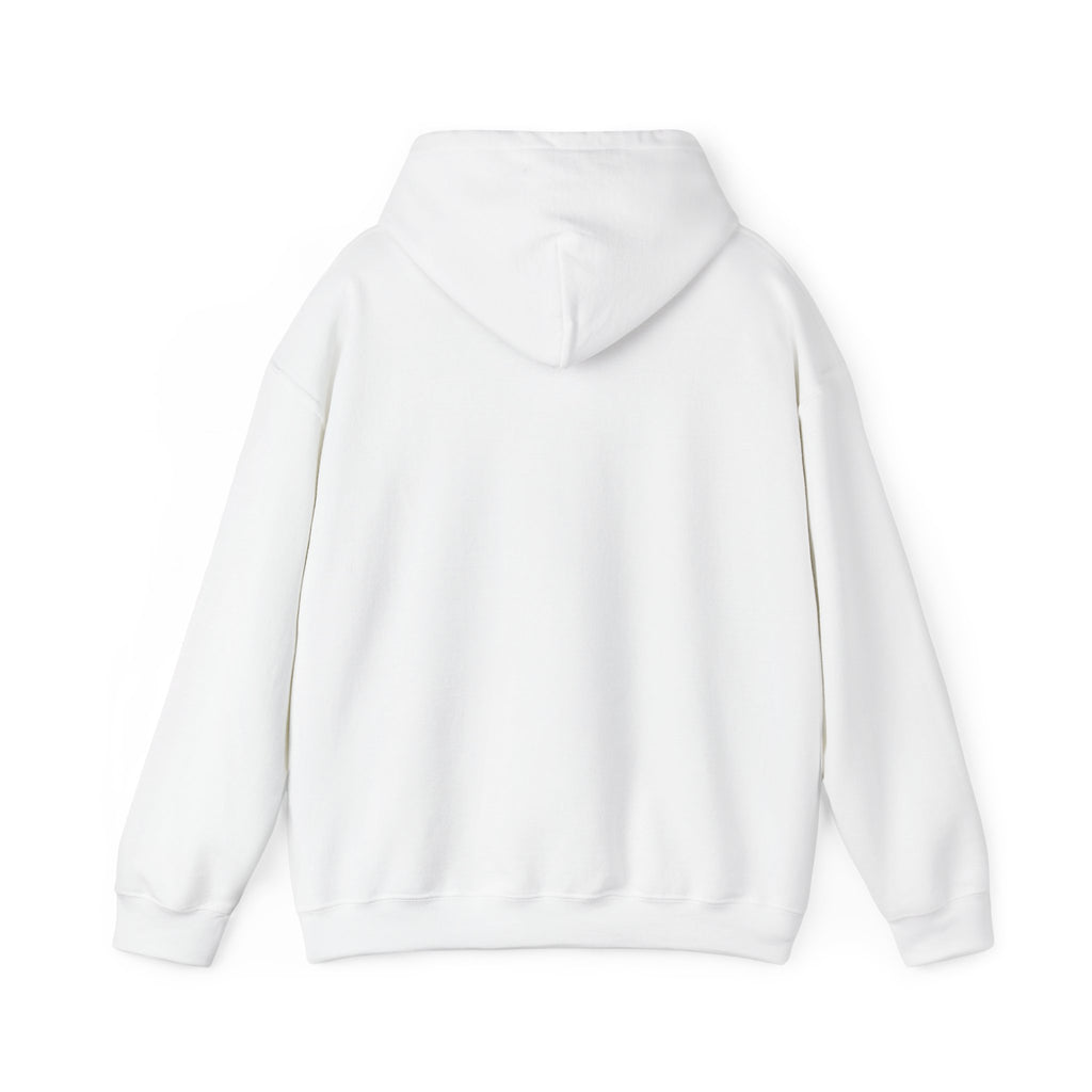 No HATE United States hoodie for protesters and protesting