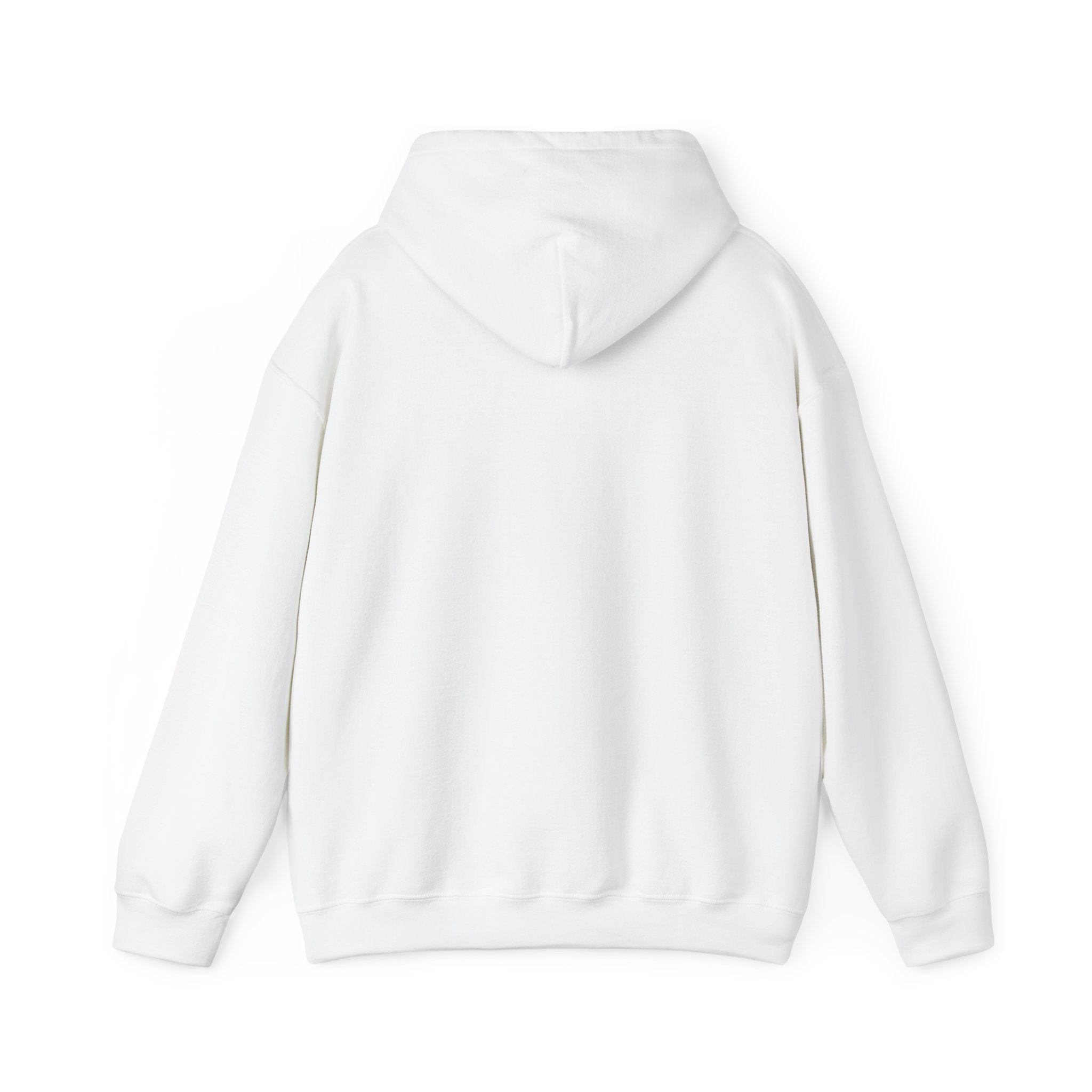 No HATE United States hoodie for protesters and protesting