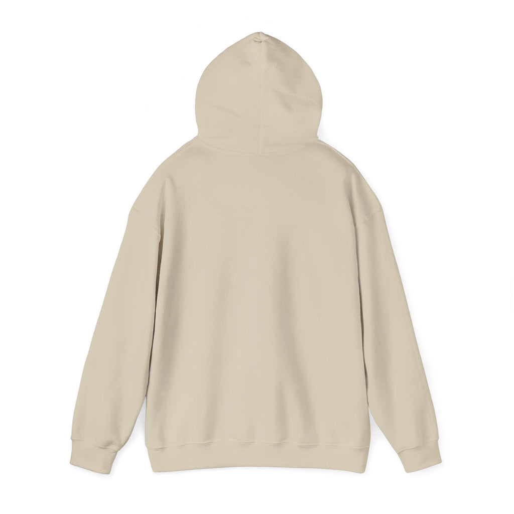 No HATE United States hoodie for protesters and protesting