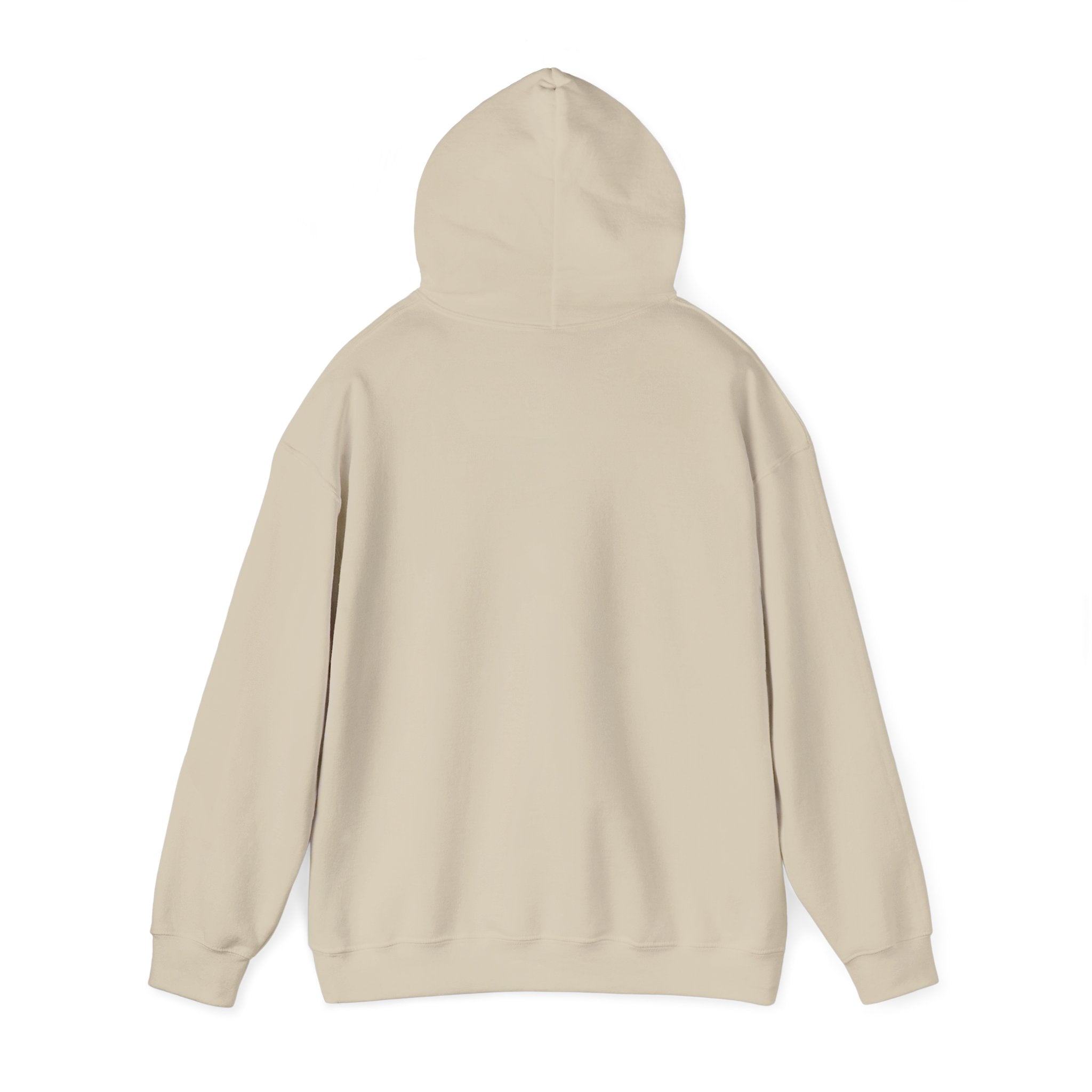 No HATE United States hoodie for protesters and protesting