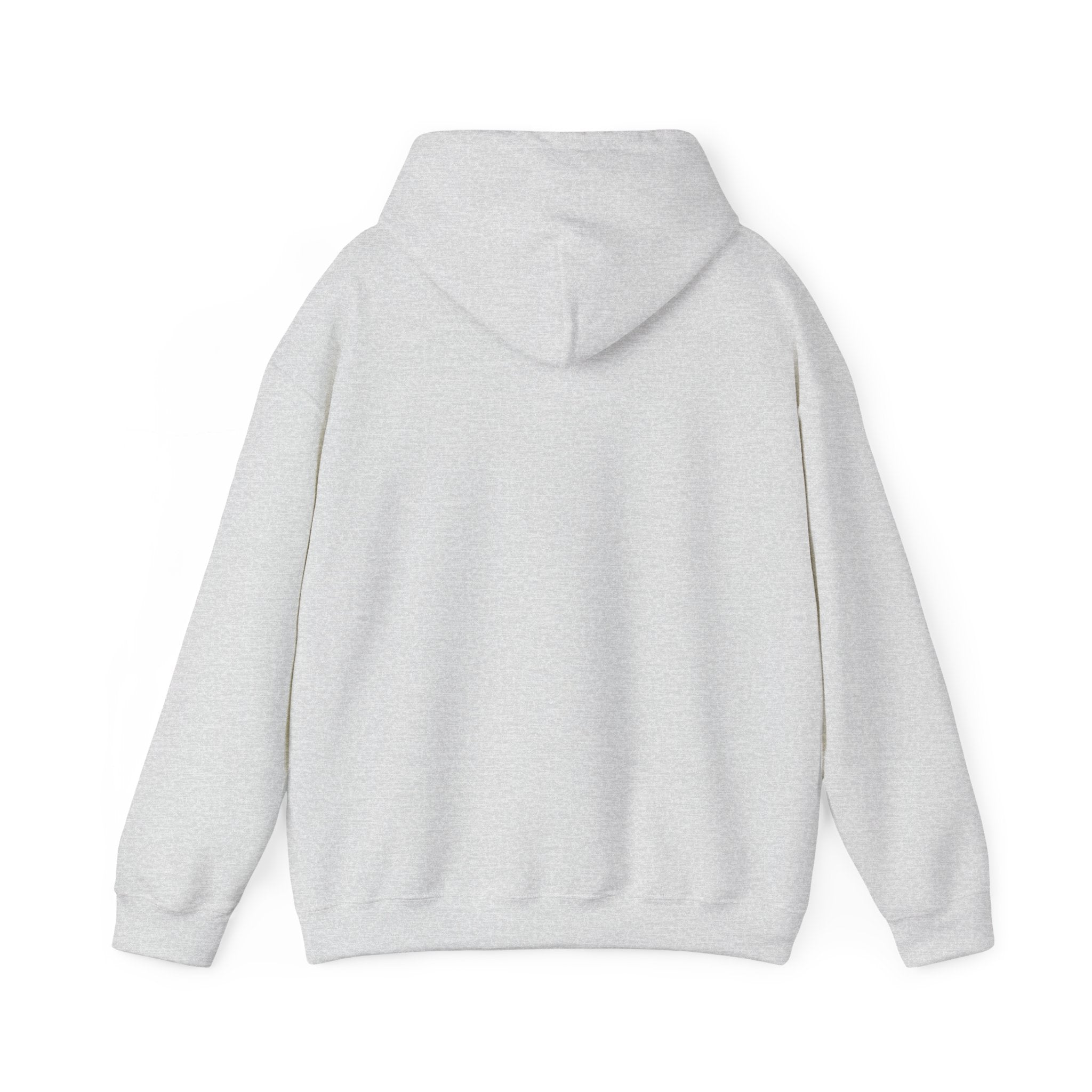 No HATE United States hoodie for protesters and protesting