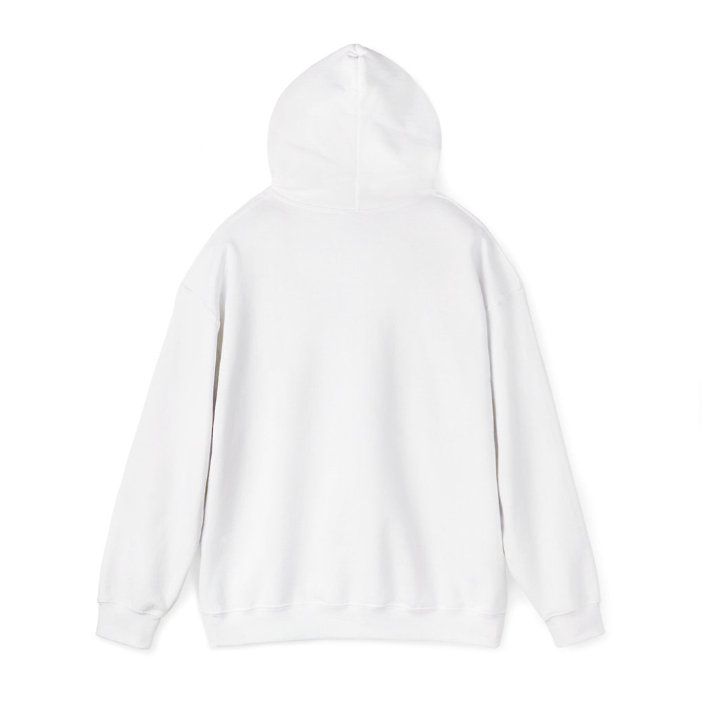 No HATE United States hoodie for protesters and protesting