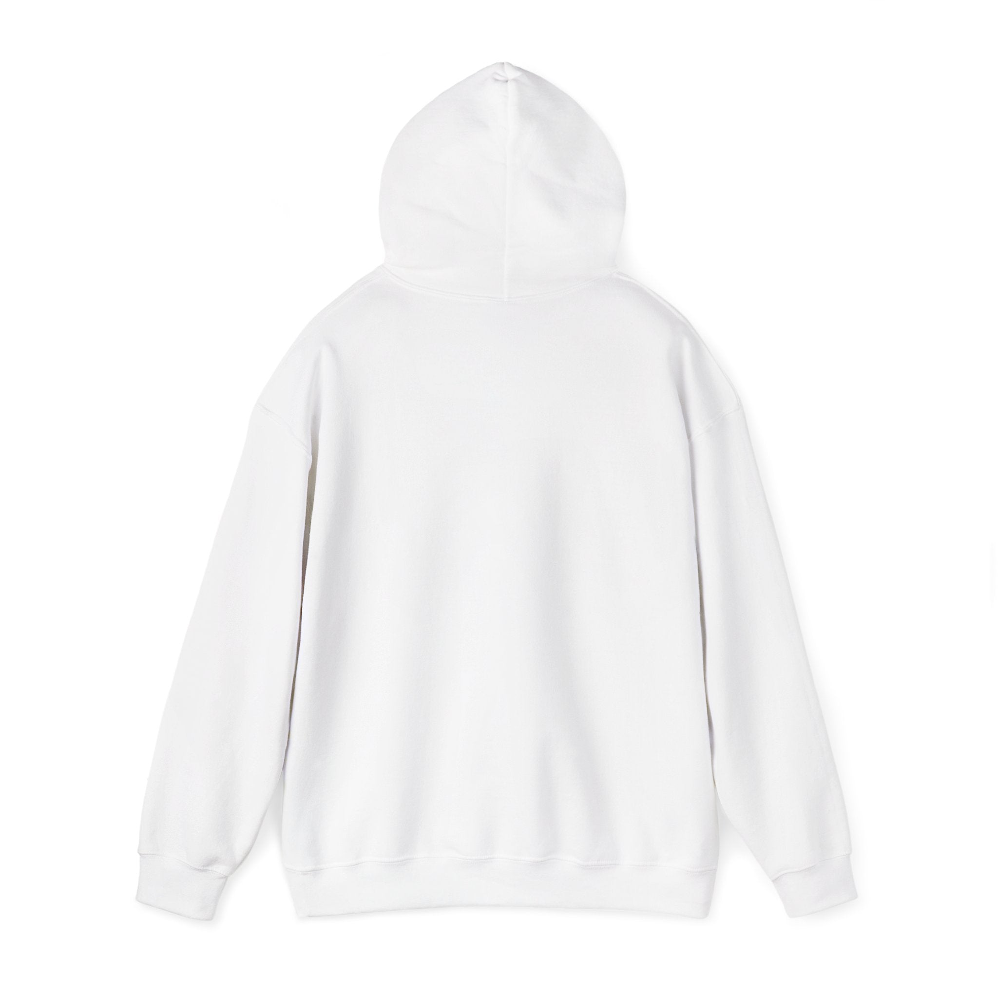 No HATE United States hoodie for protesters and protesting