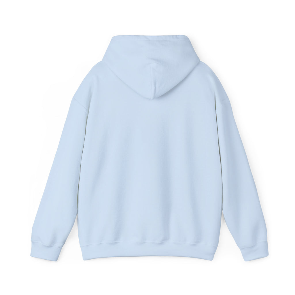 No HATE United States hoodie for protesters and protesting