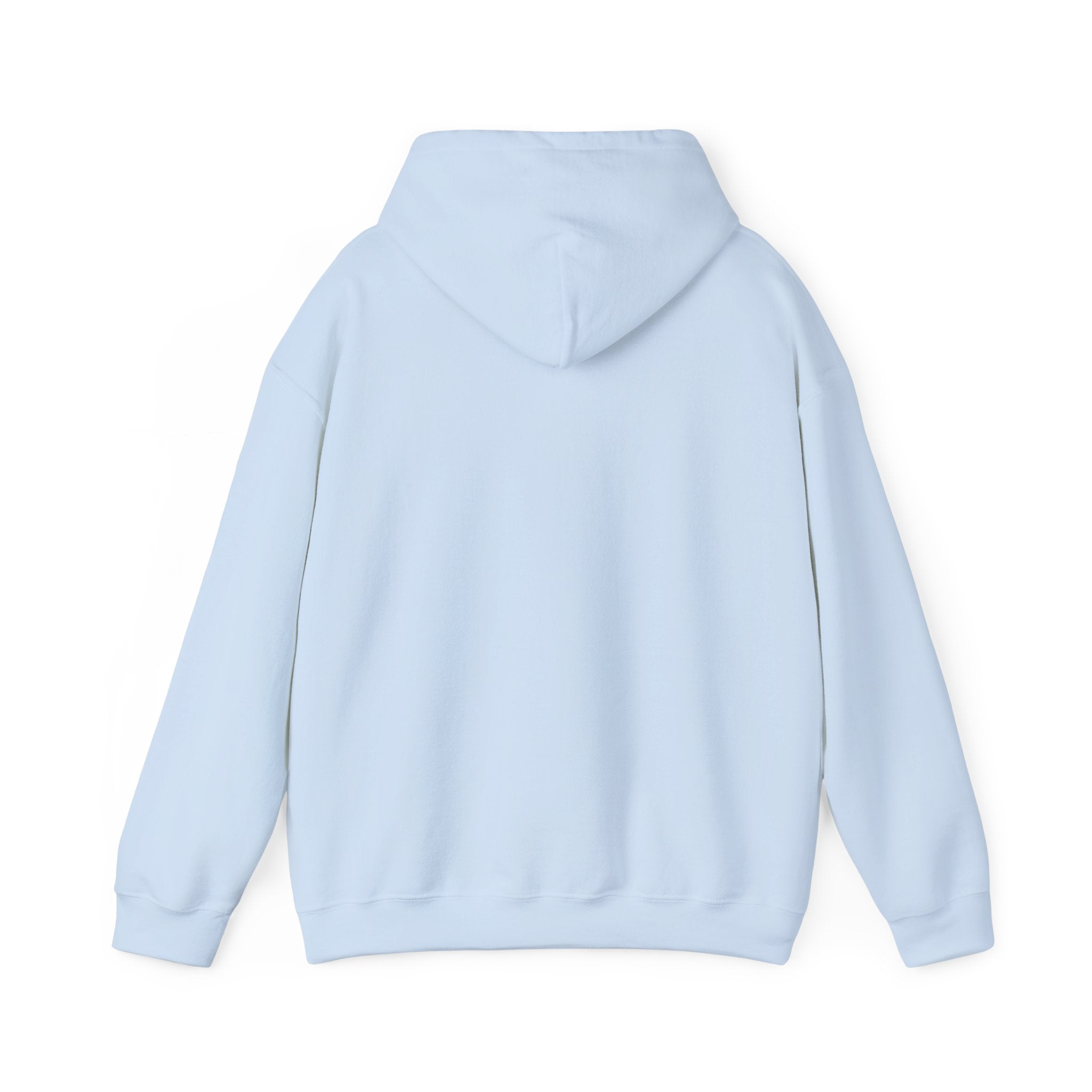 No HATE United States hoodie for protesters and protesting
