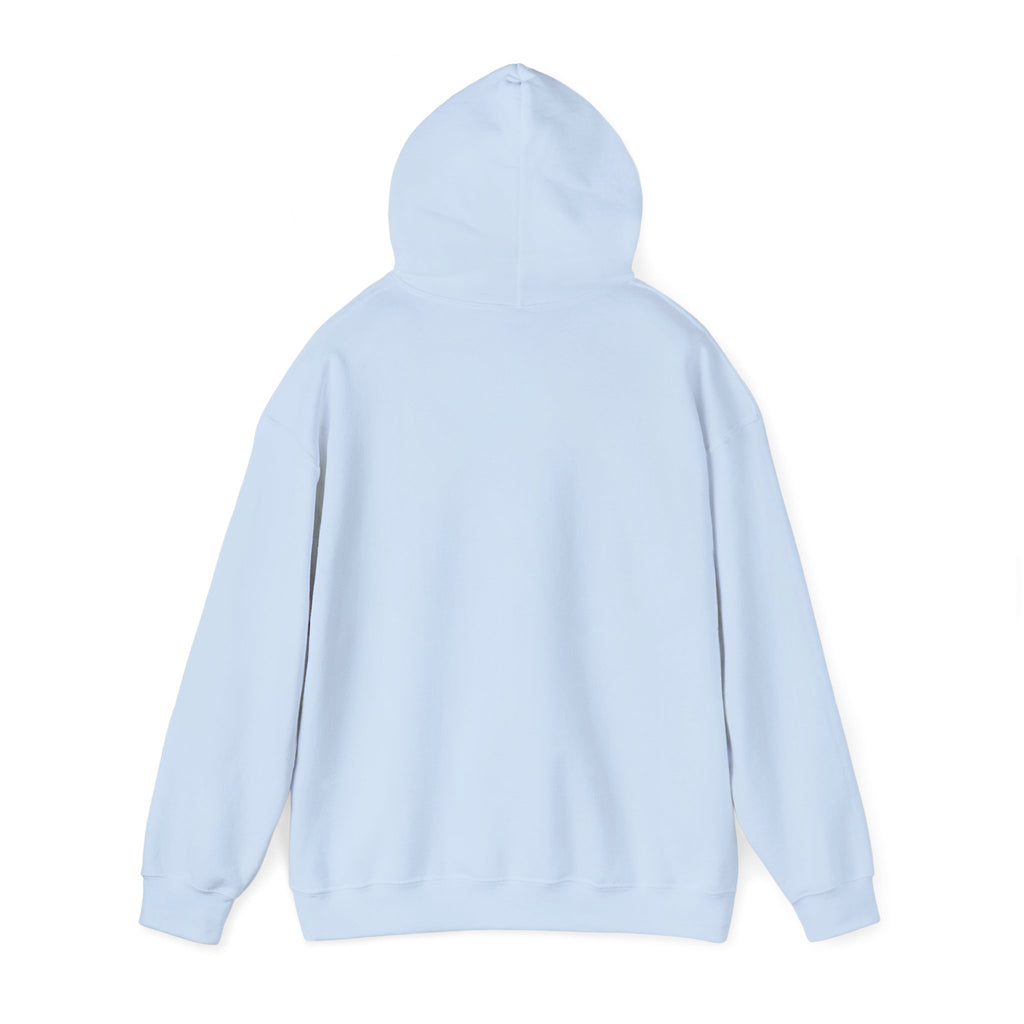No HATE United States hoodie for protesters and protesting