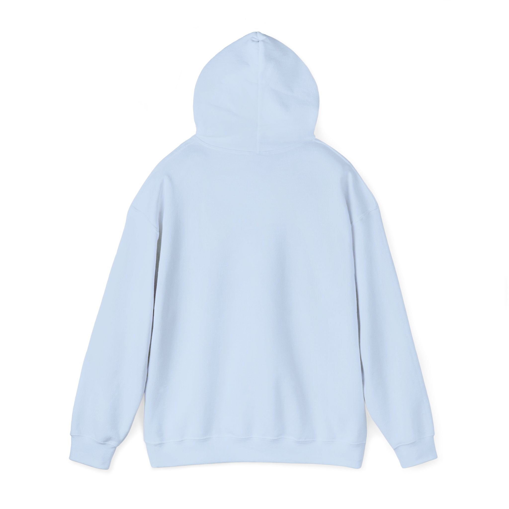No HATE United States hoodie for protesters and protesting
