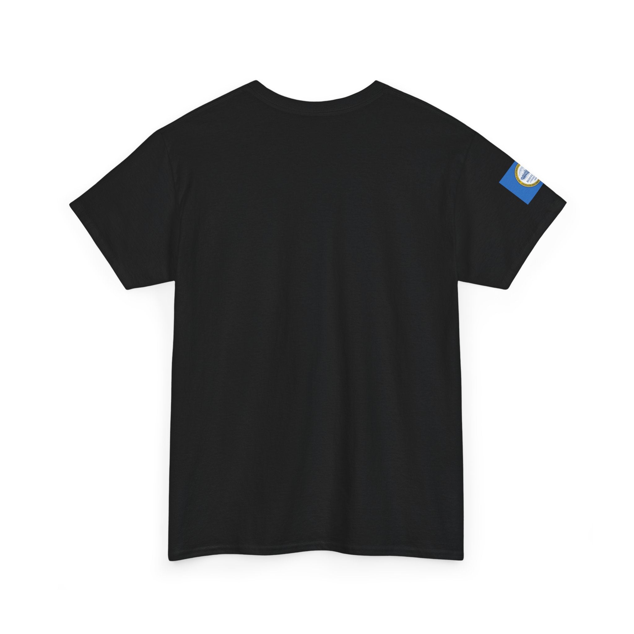 Protest Boston Tee for protesting