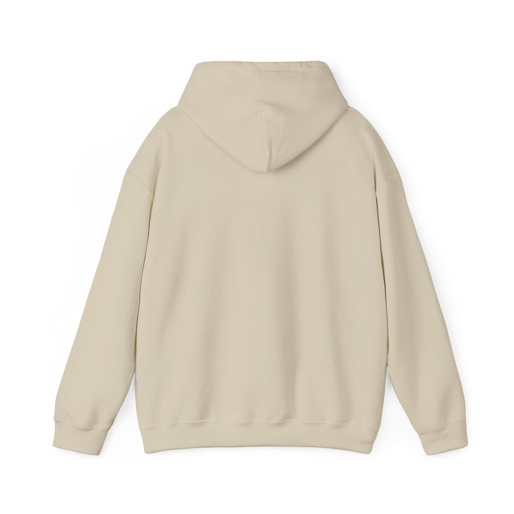 No HATE United States hoodie for protesters and protesting