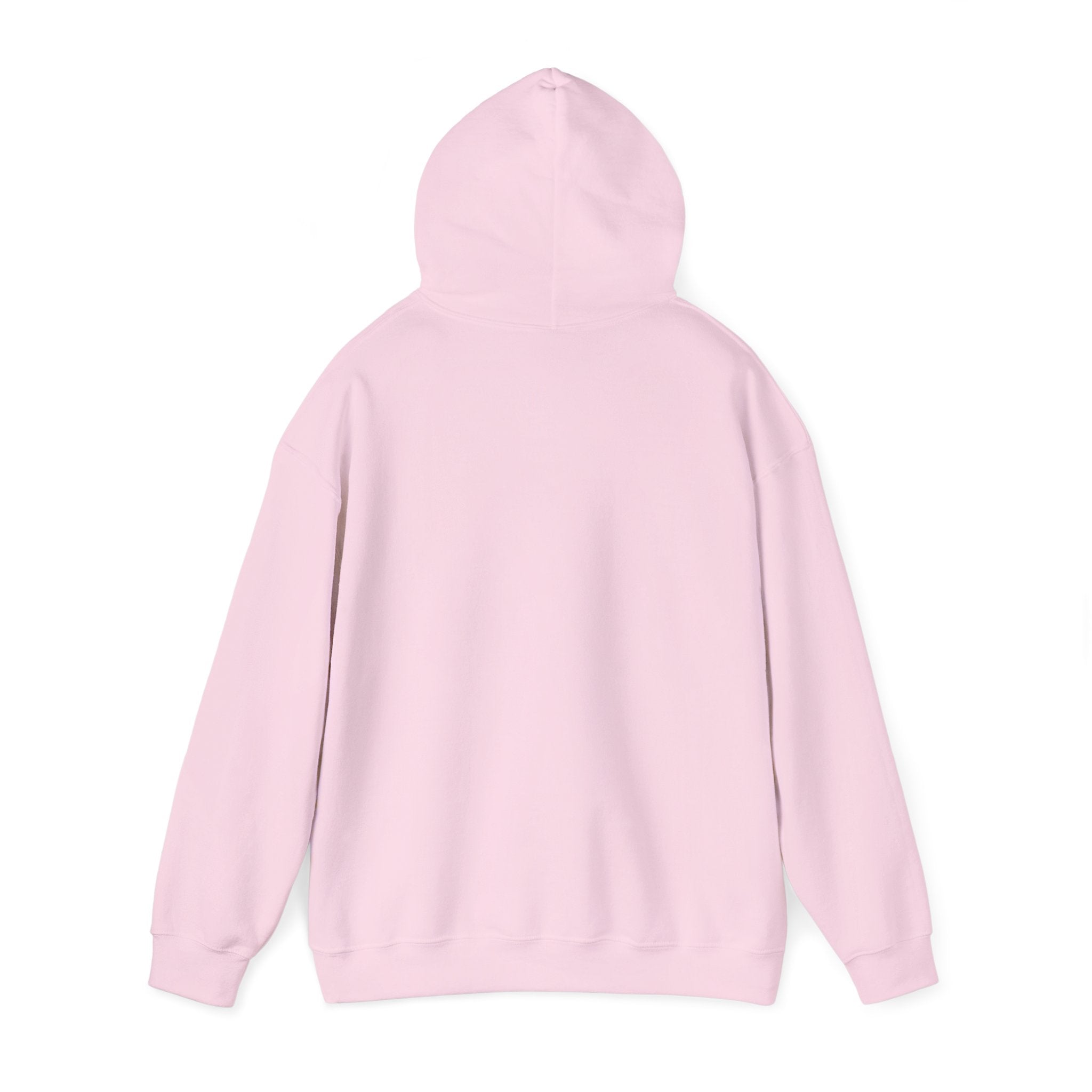 No HATE United States hoodie for protesters and protesting