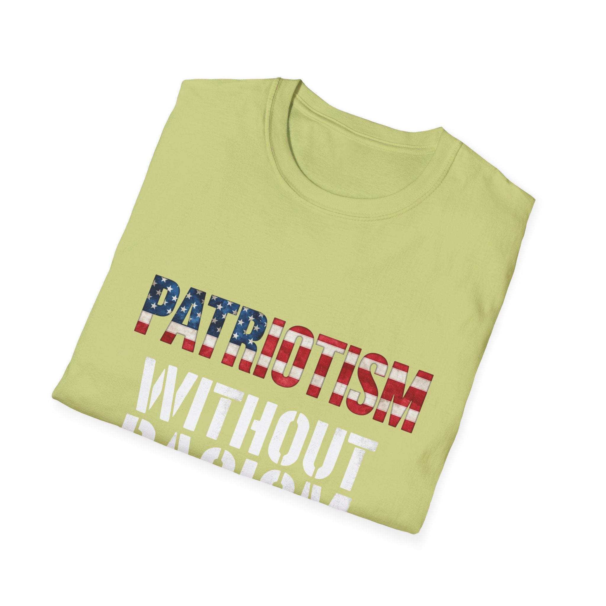 Patriotism Without Racism T-Shirt, Unisex Softstyle Tee, No Hate Shirt, Social Justice Apparel, Equality Statement Top