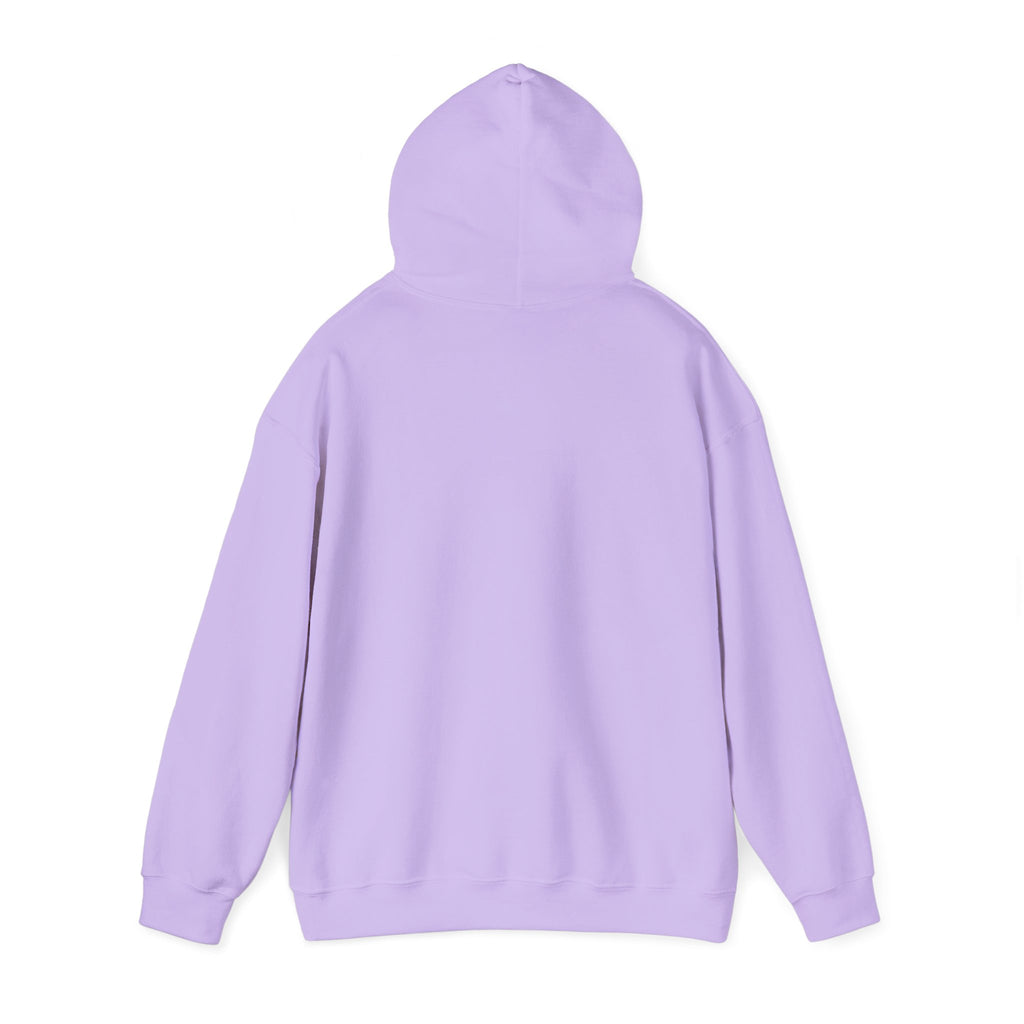 No HATE United States hoodie for protesters and protesting