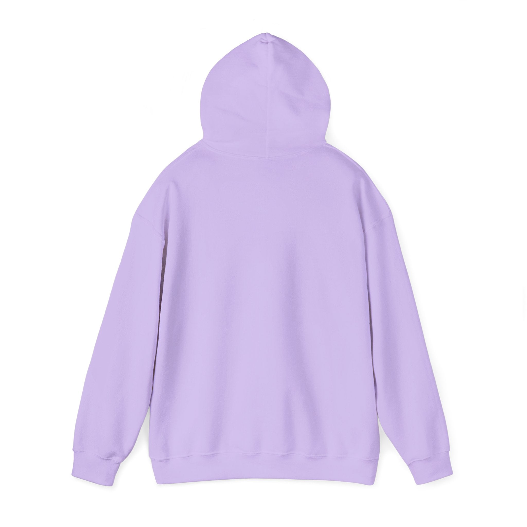 No HATE United States hoodie for protesters and protesting