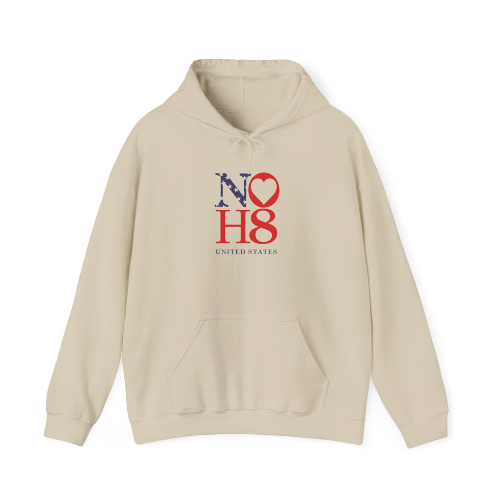 No HATE United States hoodie for protesters and protesting
